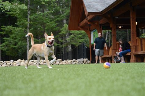 charlie's bark park